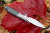 Нож Two Sun TS162M390