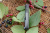 Нож Two Sun TS419-YJ01-V1