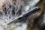 Нож "Realsteel Megalodon 7422