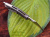 Нож Steelclaw "Керамбит черно зеленый"
