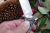 Нож Reptilian "Финка-кастом"