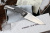 Нож "Realsteel E771 Sea eagle" 7153