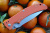 Нож для повседневного ношения Steelclaw "Кедр-3"