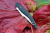 Нож Steelclaw "Наваха01"