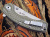 Нож Kizer Ki4450A2