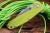 Нож "Realsteel H5 GERFALCON" fruit green