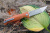 Нож Reptilian "Джага-02"