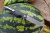 Нож Steelclaw "Хамелеон-03"